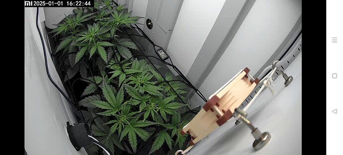 Screenshot_2025-01-01-16-21-14-99_89ed83f5c7ca8fa2c91fc75c50289338