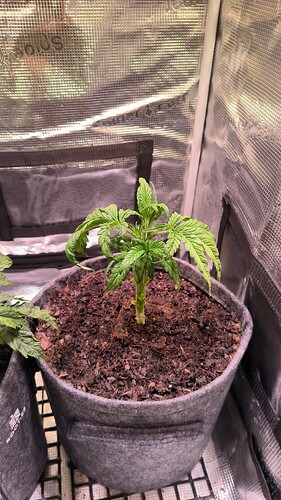 Growreport Bild 8