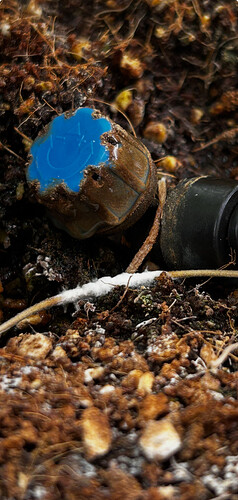 Growreport Bild 13