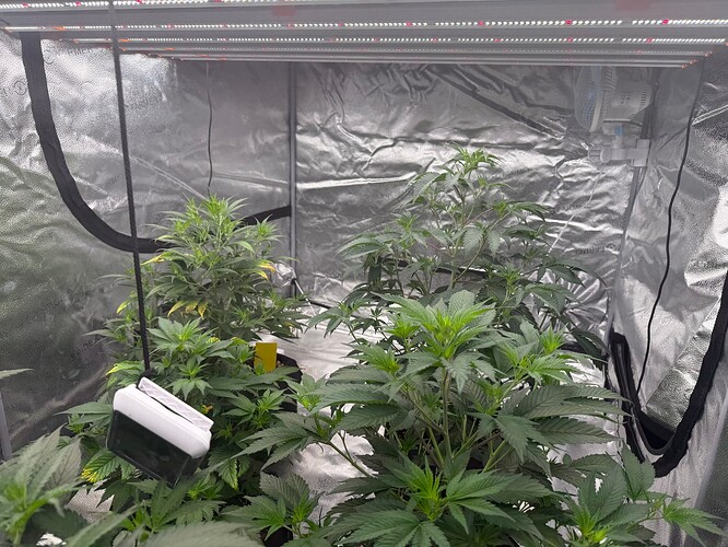 Growreport Bild 4