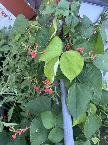 Growreport Bild 53