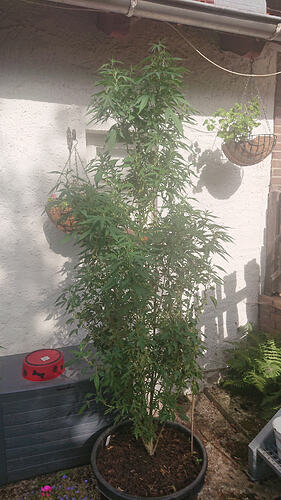 DSC5066