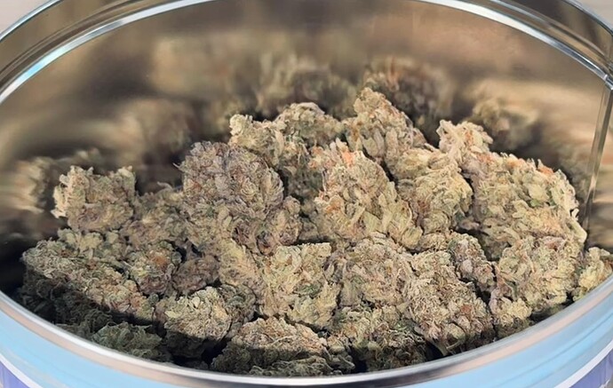 Growreport Bild 57