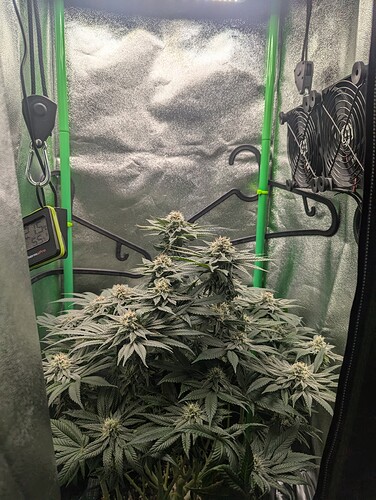 Growreport Bild 4
