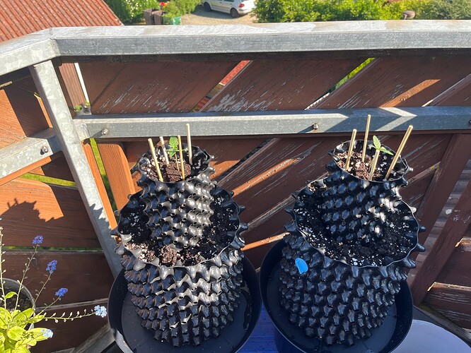 Growreport Bild 7