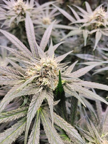 Growreport Bild 10