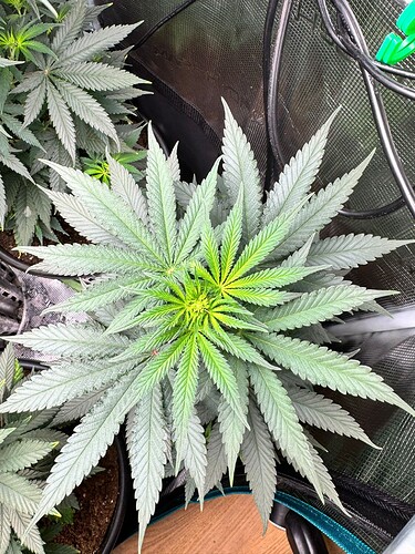 WhatsApp Image 2024-05-18 at 09.46.23 (1)