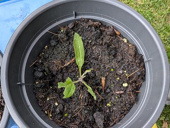 PXL_20250425_150040682