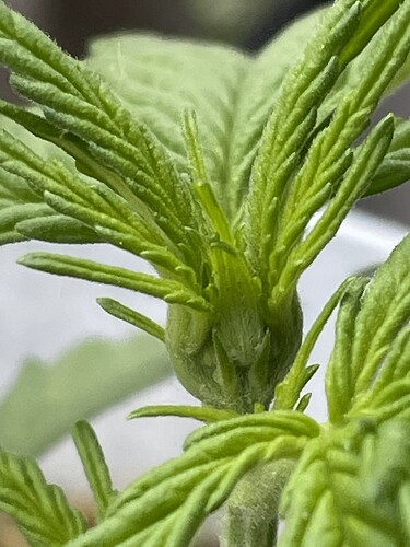 Growreport Bild 9