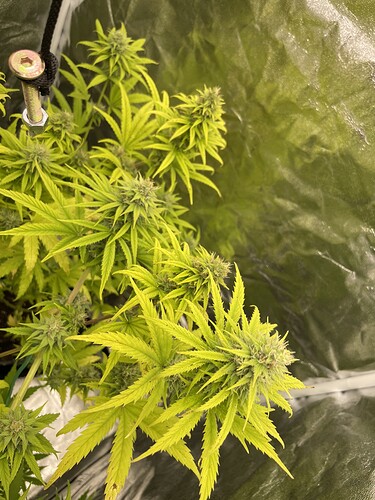 Growreport Bild 4
