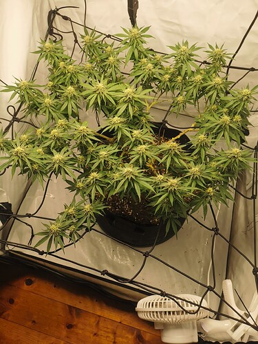 Growreport Bild 13