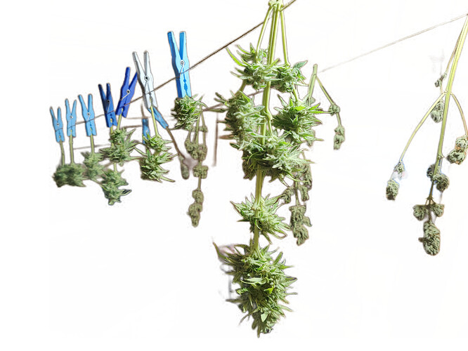 Growreport Bild 13