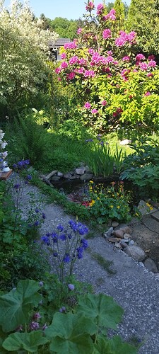 Growreport Bild 6
