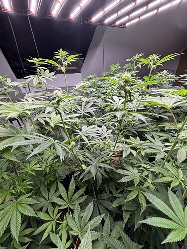 Growreport Bild 22