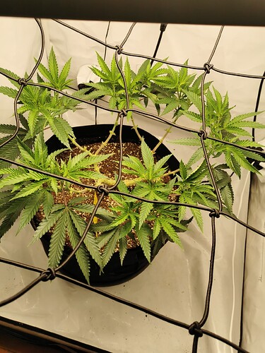 Growreport Bild 14