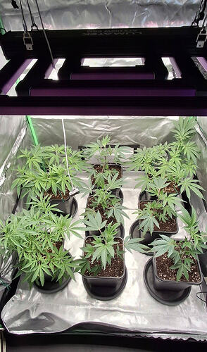 649476489_122227223384293599_9139014301561560866_n