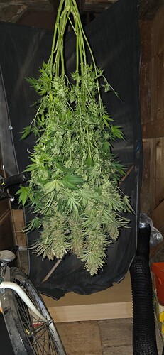 Growreport Bild 18