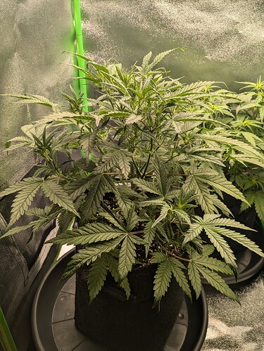 Growreport Bild 17