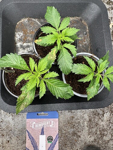 Growreport Bild 4