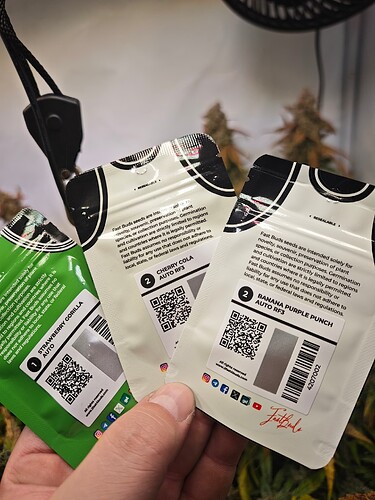 MVIMG_20251203_164202