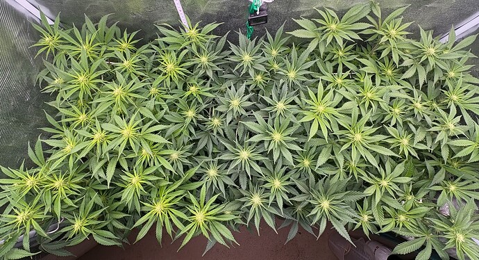 Foto 03.01.26, 06 30 41