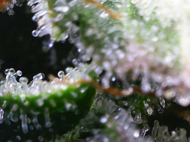 Photo_2026-03-04 16_34_40_768