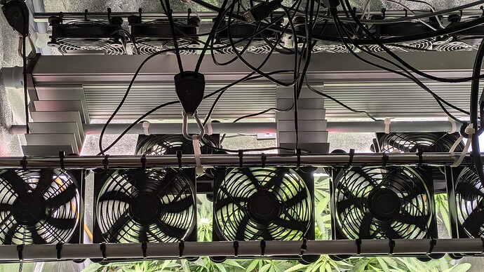 PXL_20240908_153718660.PORTRAIT.ORIGINAL