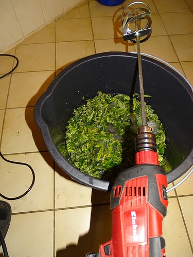 Growreport Bild 8
