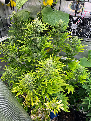 Growreport Bild 2