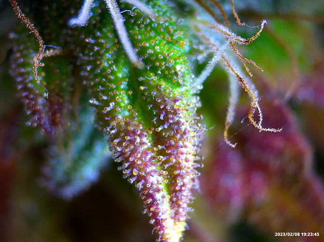Growreport Bild 13