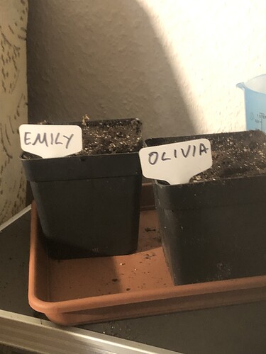 Growreport Bild 11