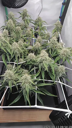 Growreport Bild 14