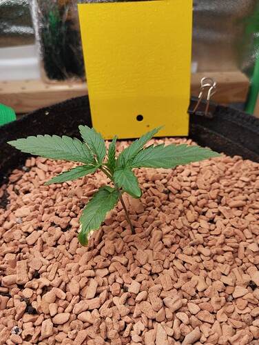 Growreport Bild 15