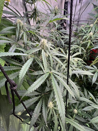 Growreport Bild 5