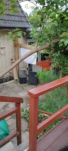 IMG_20240526_195236