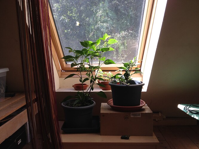 Growreport Bild 11