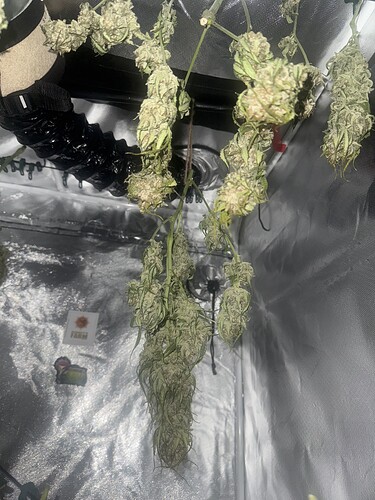 Growreport Bild 22