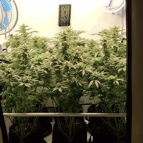 476349933_122166638558293599_2575550013064302798_n