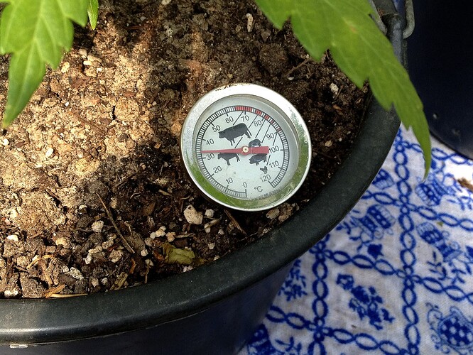 Growreport Bild 29