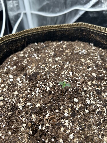 Growreport Bild 3