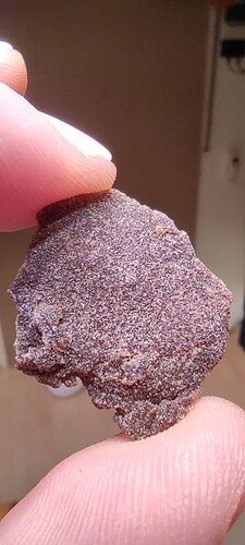 Growreport Bild 43