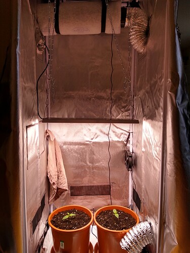 IMG_20240422_131814666_HDR