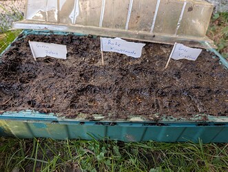 PXL_20250327_155920801