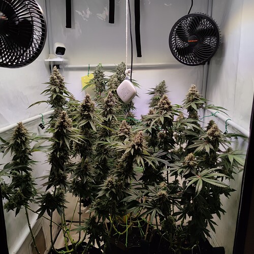 Growreport Bild 18