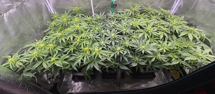 Foto 31.12.25, 06 31 34