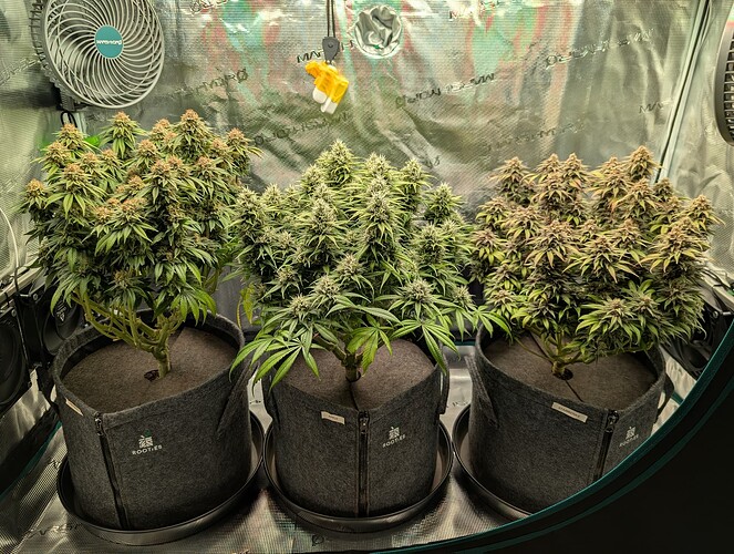 Growreport Bild 16