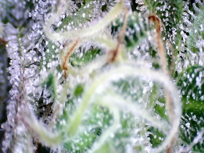 Growreport Bild 21