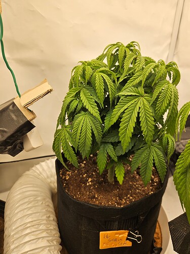Growreport Bild 18