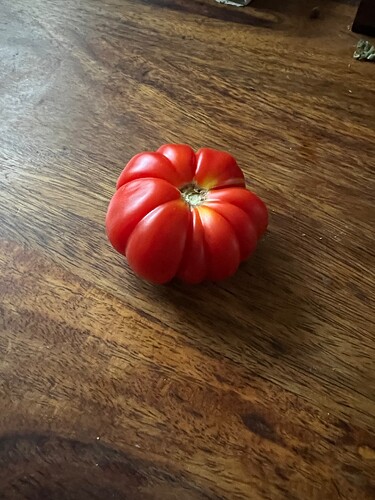 Growreport Bild 5