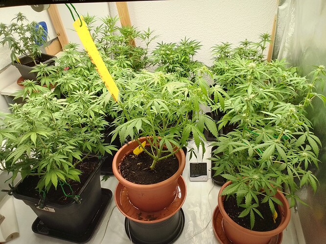 Growreport Bild 11